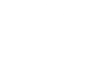Vincitore Realty